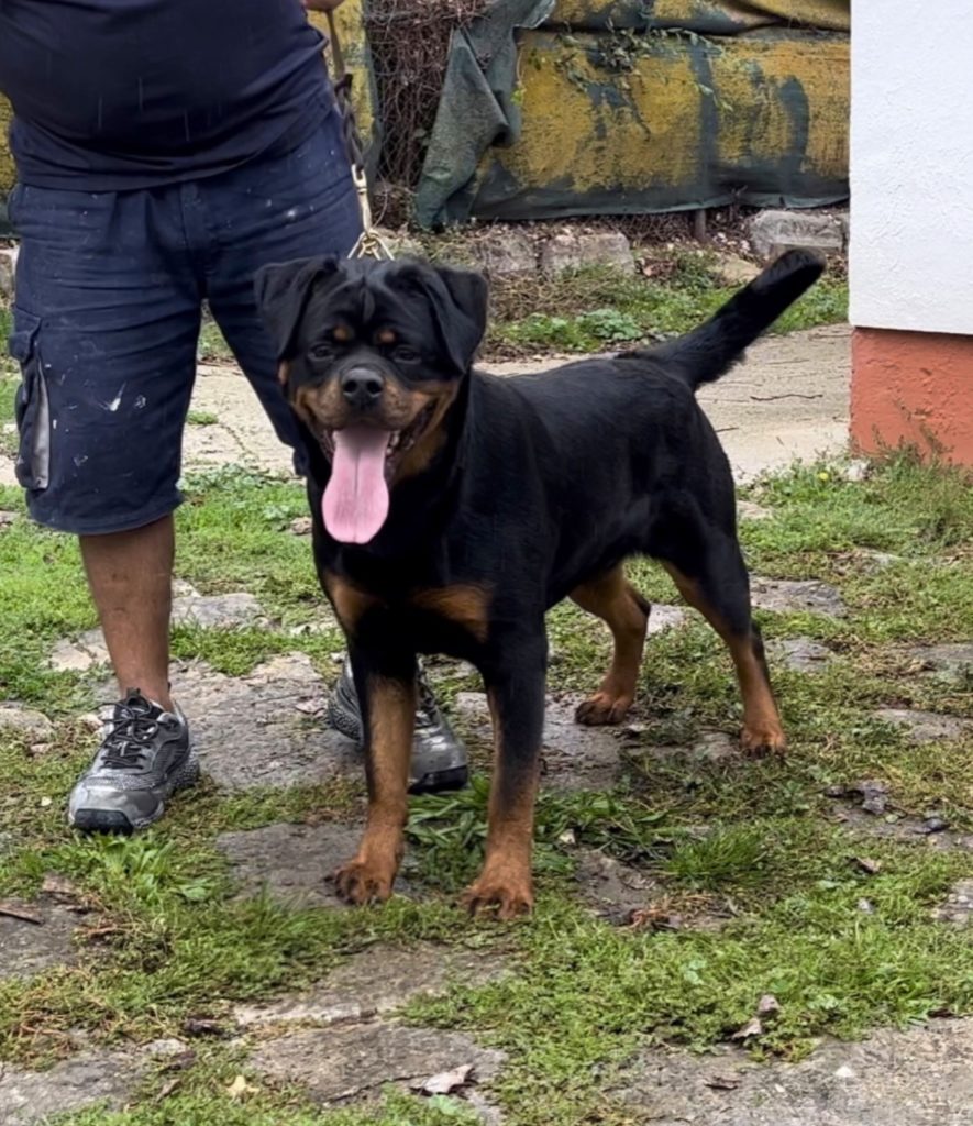 NALA DE TXURROKE