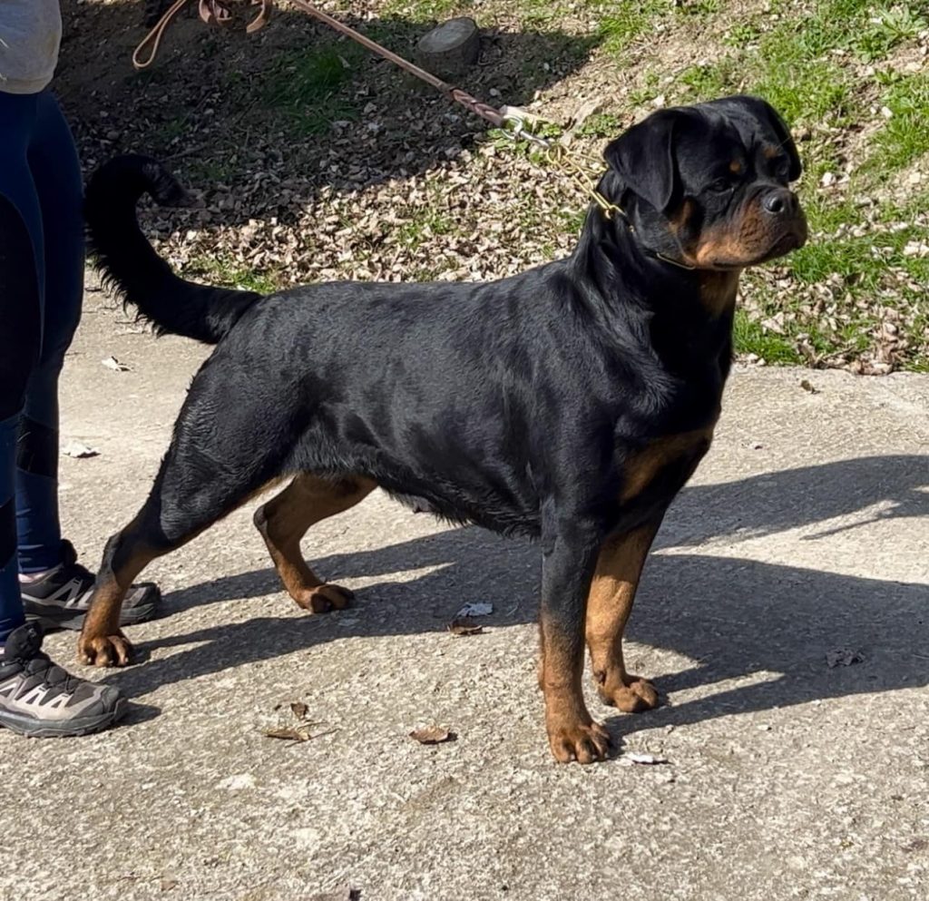 NALA DE TXURROKE